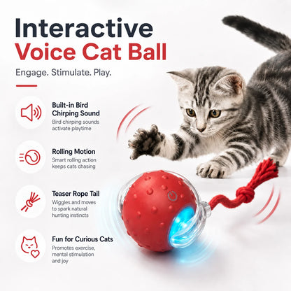 Pelota interactiva recargable para gatos