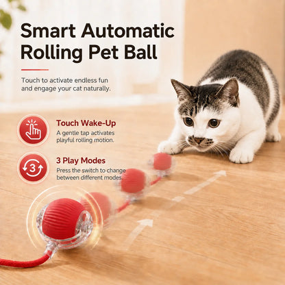 Pelota interactiva recargable para gatos